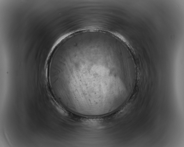 X0000087421078200705041303