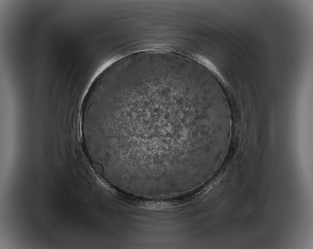 X0000087421079200705041303