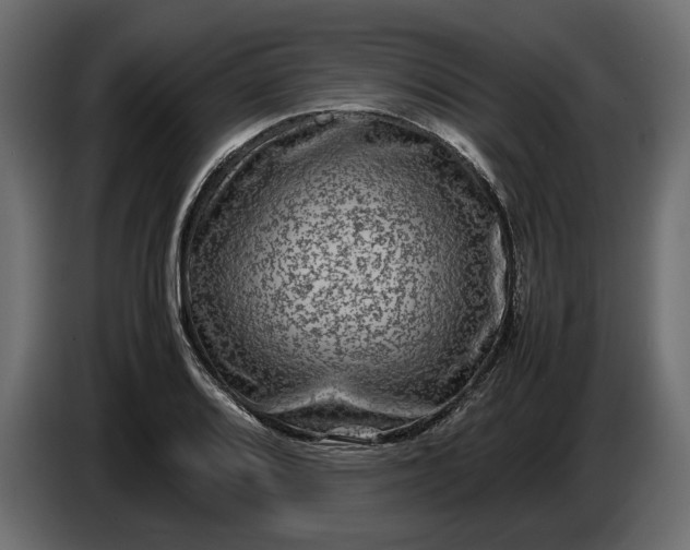 X0000087421080200705041303