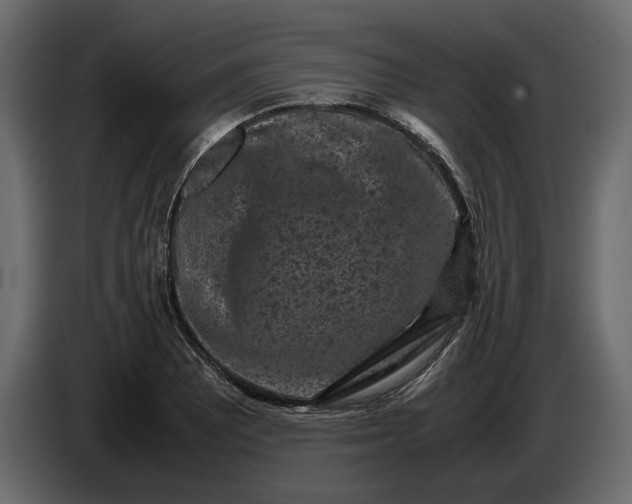 X0000087421081200705041303