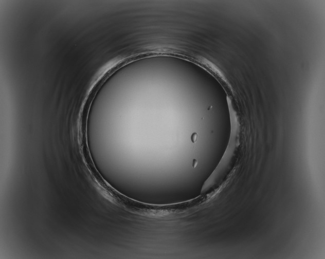 X0000087421082200705041303