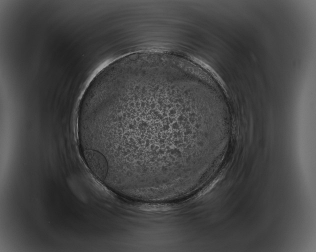 X0000087421083200705041303