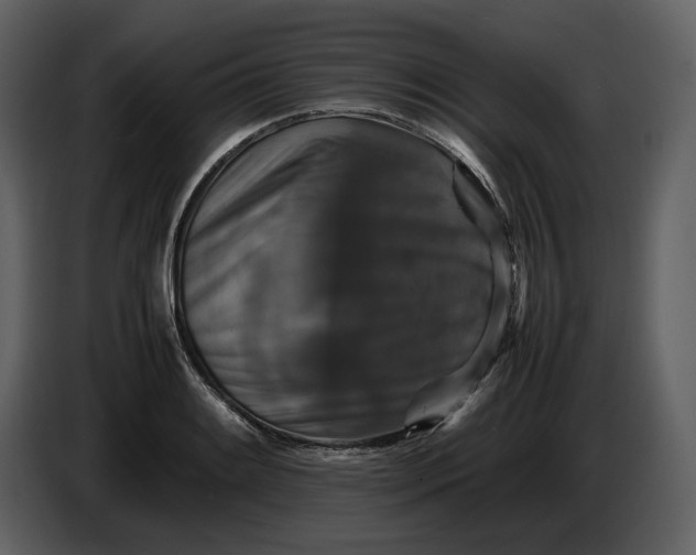 X0000087421084200705041303