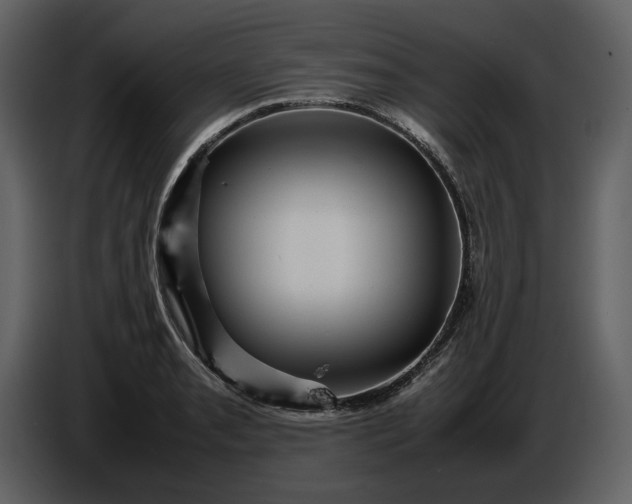 X0000087421085200705041303