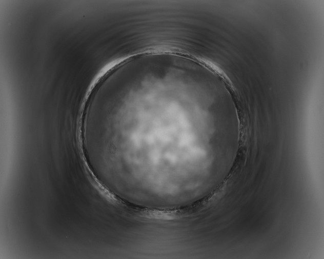 X0000087421086200705041303