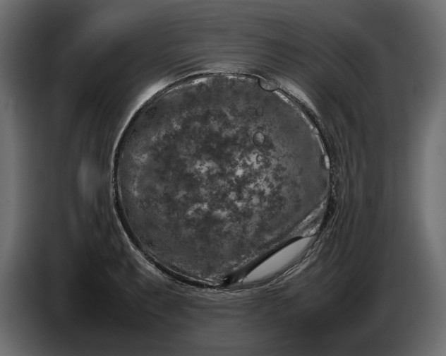 X0000087421087200705041303