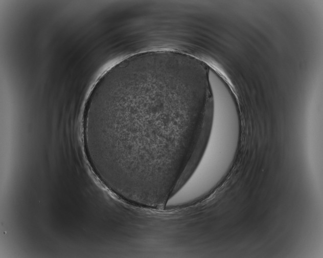 X0000087421088200705041303