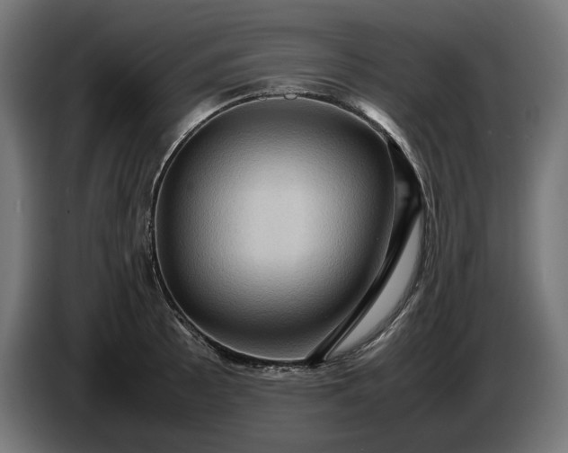 X0000087421089200705041303