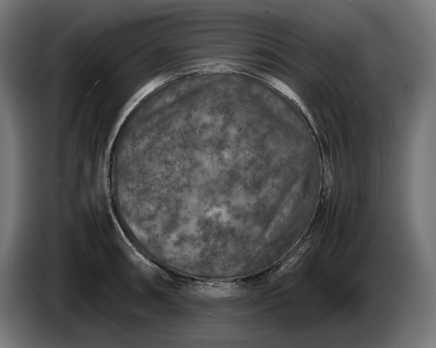 X0000087421090200705041303