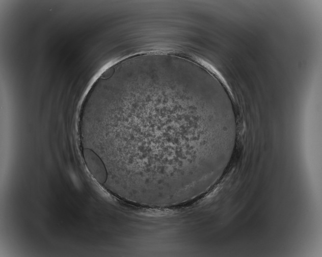 X0000087421091200705041303