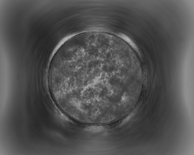 X0000087421094200705041303