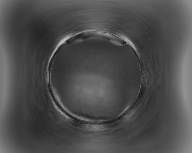 X0000087421095200705041303