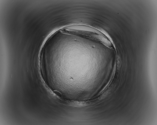 X0000087421096200705041303