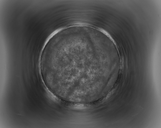 X0000087421098200705041303