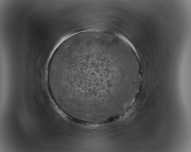 X0000087421099200705041303