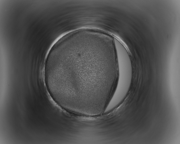 X0000087421100200705041303