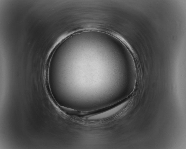 X0000087421101200705041303