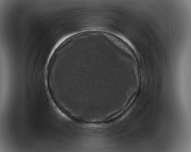 X0000087421102200705041303