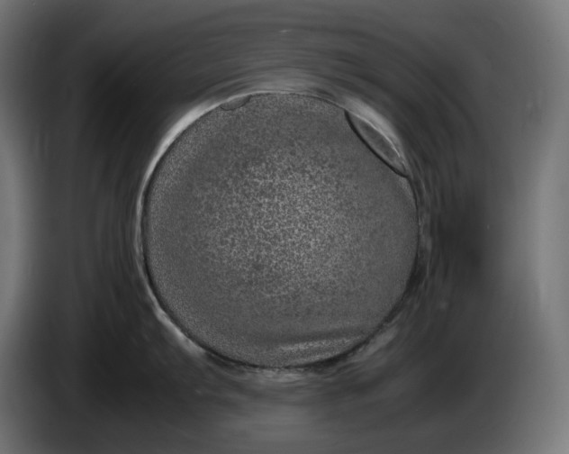 X0000087421103200705041303