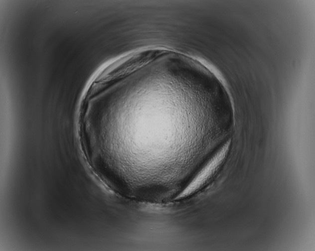 X0000087421104200705041303