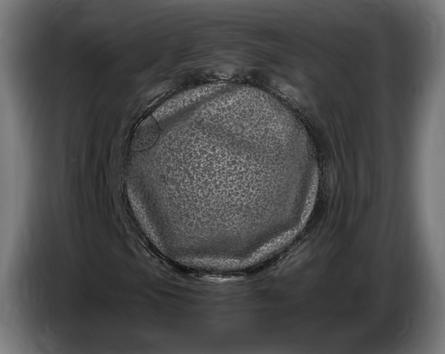 X0000087421105200705041302