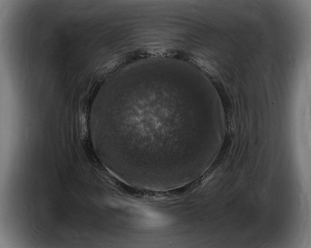 X0000087421106200705041302