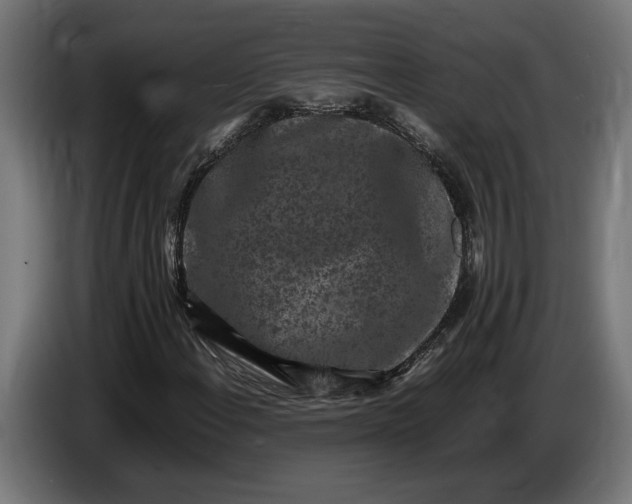 X0000087421108200705041302