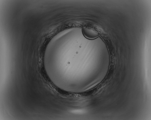 X0000087421109200705041302