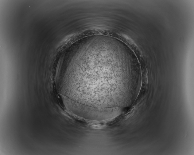 X0000087421110200705041302