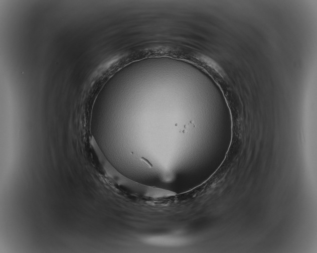 X0000087421111200705041302