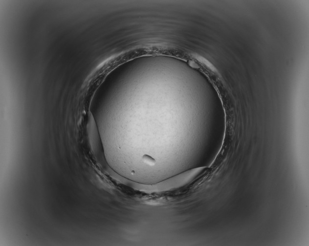 X0000087421112200705041302