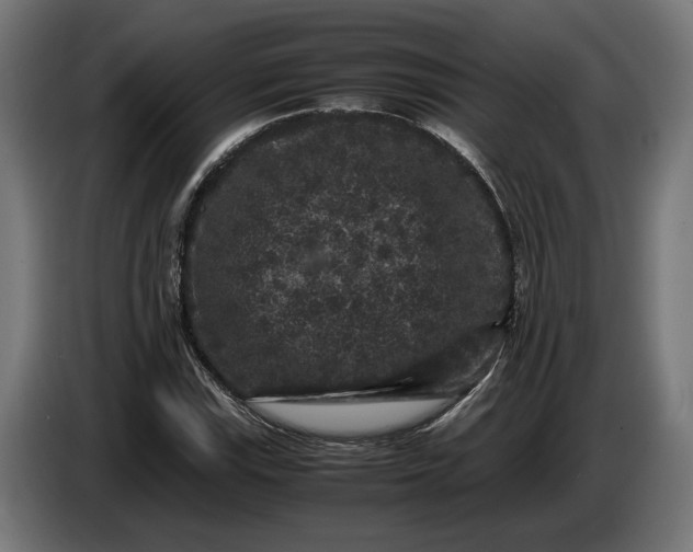 X0000087421115200705041302