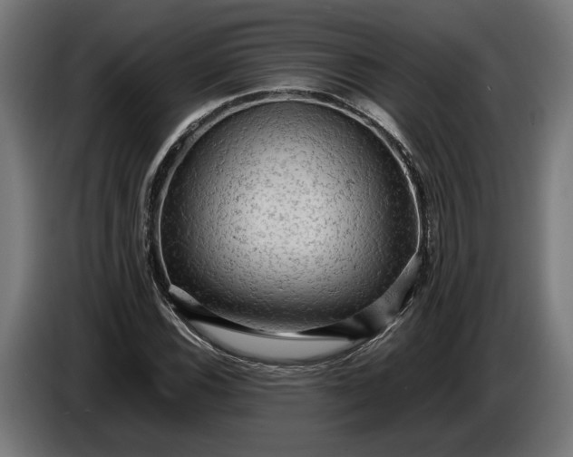 X0000087421116200705041302