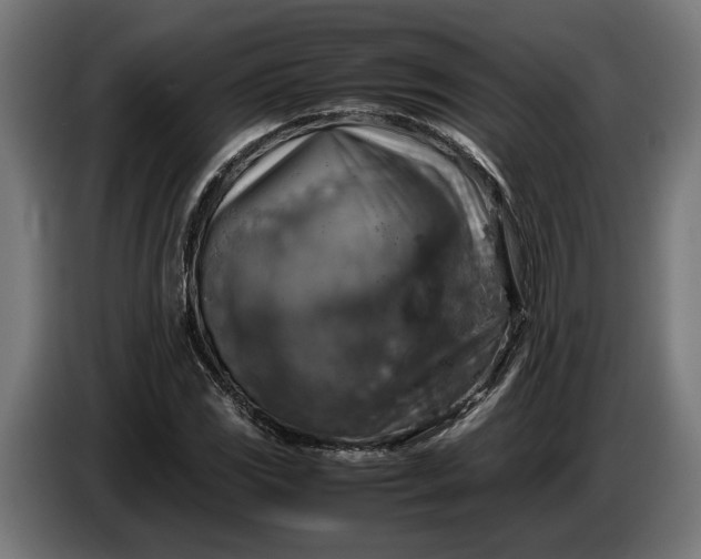 X0000087421117200705041302