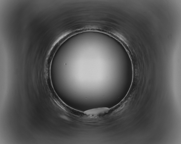 X0000087421119200705041302