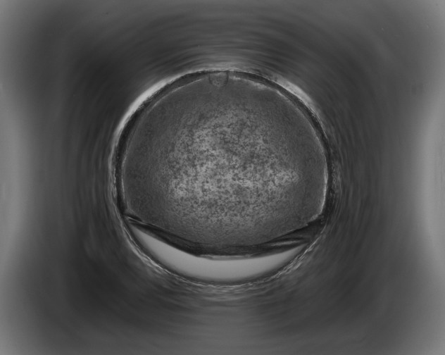 X0000087421120200705041302