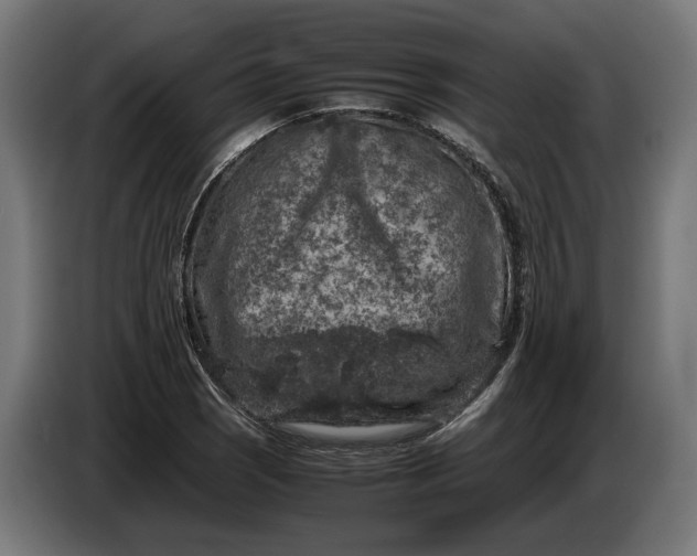 X0000087421121200705041302