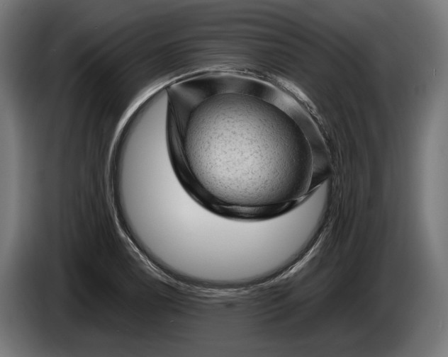 X0000087421122200705041302