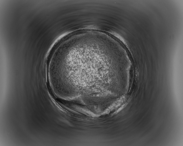 X0000087421123200705041302