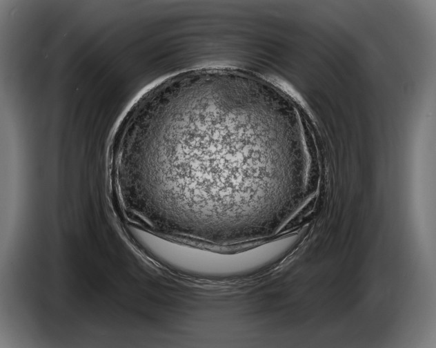 X0000087421124200705041302