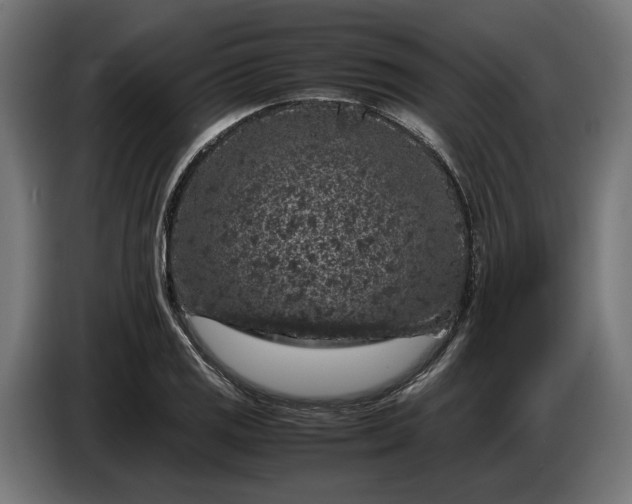 X0000087421125200705041302