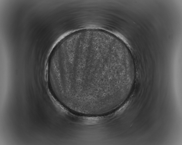 X0000087421126200705041302