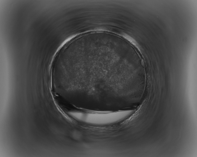 X0000087421127200705041302