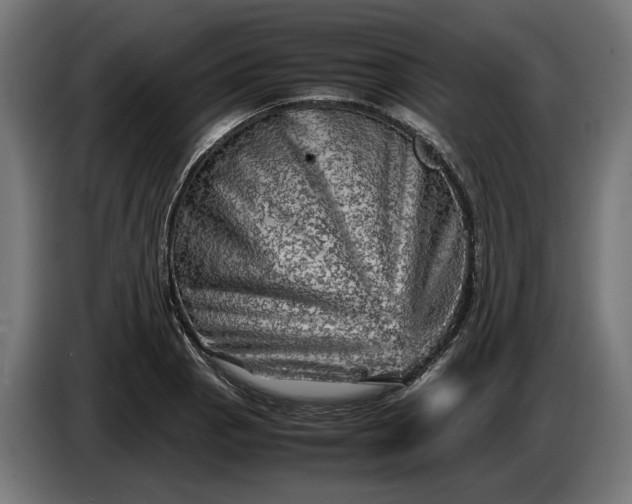 X0000087421129200705041302