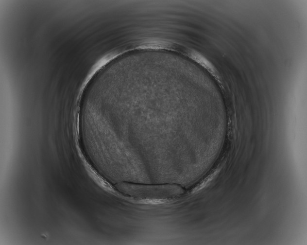 X0000087421130200705041302