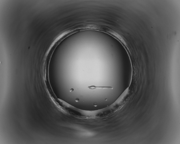 X0000087421131200705041302