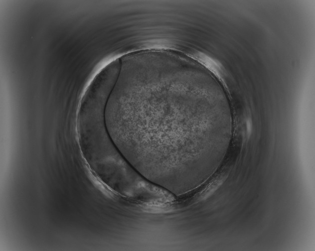 X0000087421132200705041302