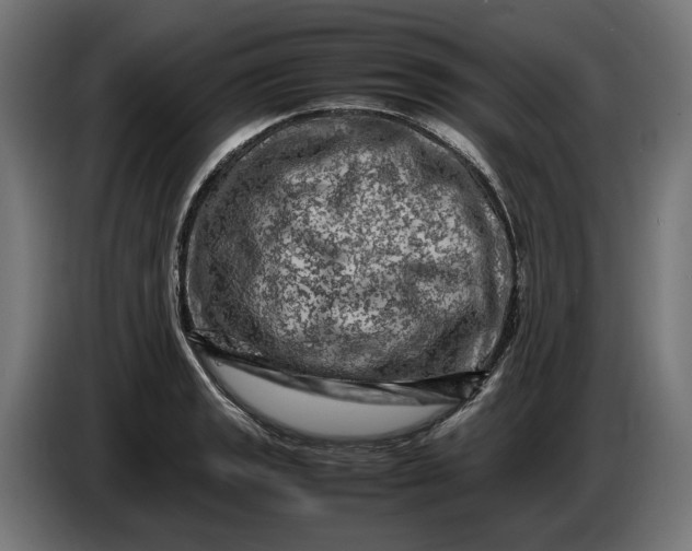 X0000087421133200705041302