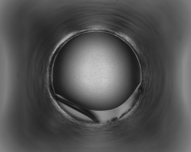 X0000087421134200705041302