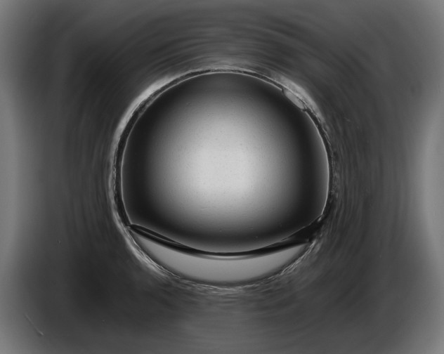 X0000087421136200705041302